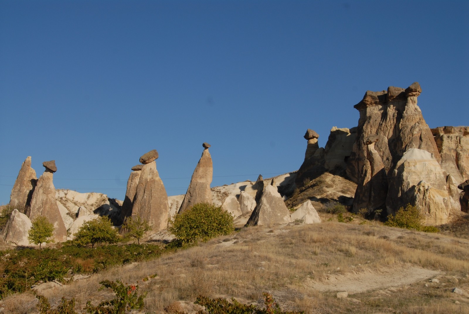 KAPADOKYA KORUMACILIĞINDA ULUSLARARASI İŞBİRLİKLERİNE GAPIYI KAPADIK YA MI ? KAPAMADIK YA MI ?