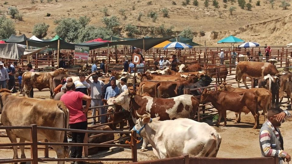 Nevşehir Hayvan Pazarı Geçici Olarak Kapatıldı