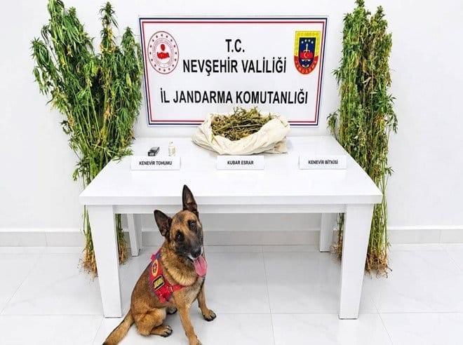 Nevşehir’de Esrar Operasyonu: 3 Şüpheli Hakkında Adli İşlem Başlatıldı