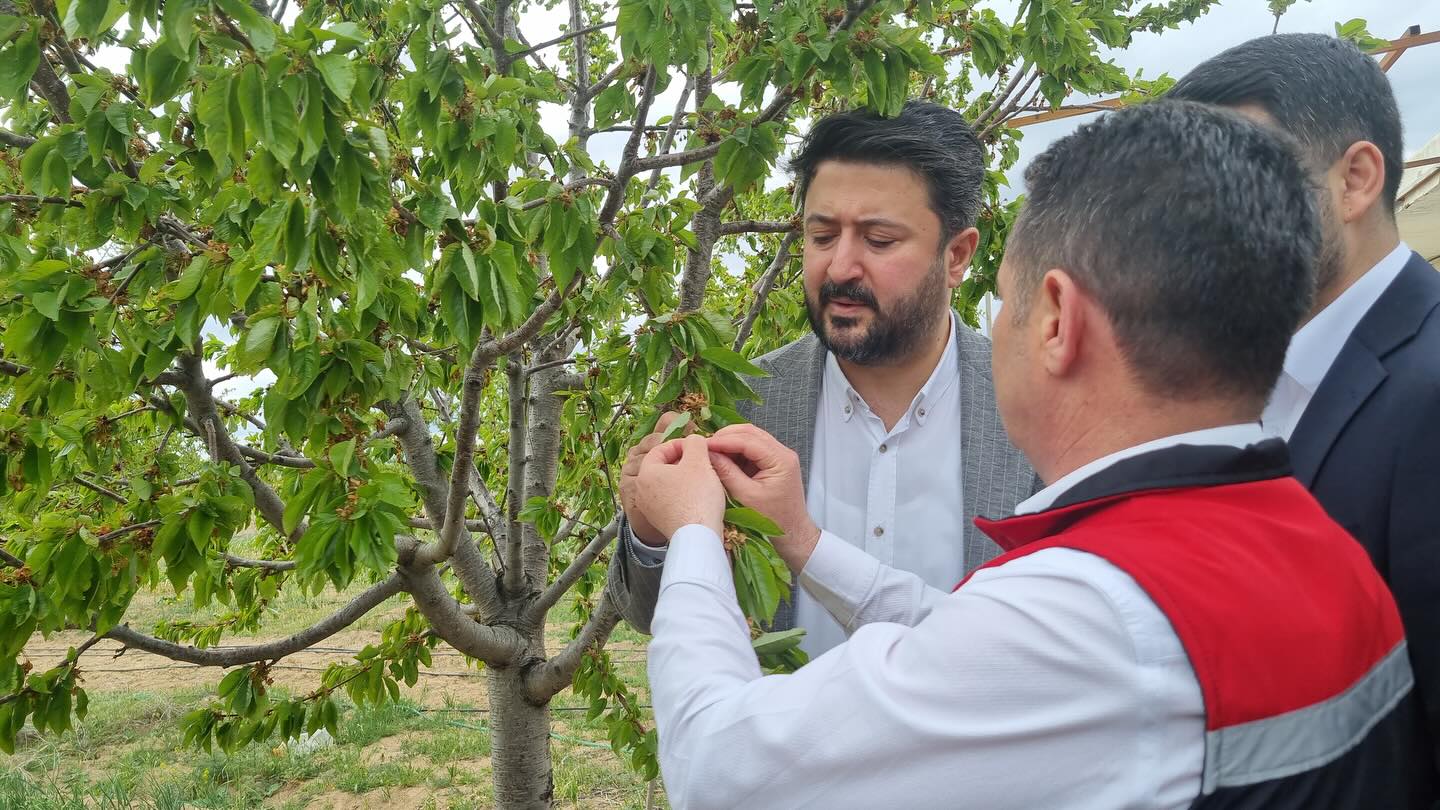 AK Parti Nevşehir Milletvekili Çalışkan : “ Üreticilerimizin Yanındayız”