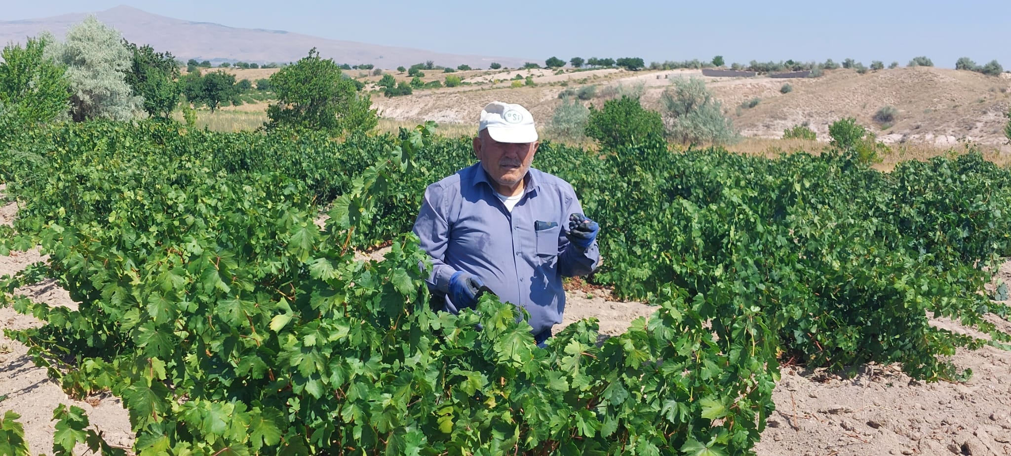 TARIM ÜRÜNLERİNİ ARTIRMAK AMA TARIM SANAYİNE DE UYGULAMAYA ALMAMIZ TEMEL VİZYON OLMALI