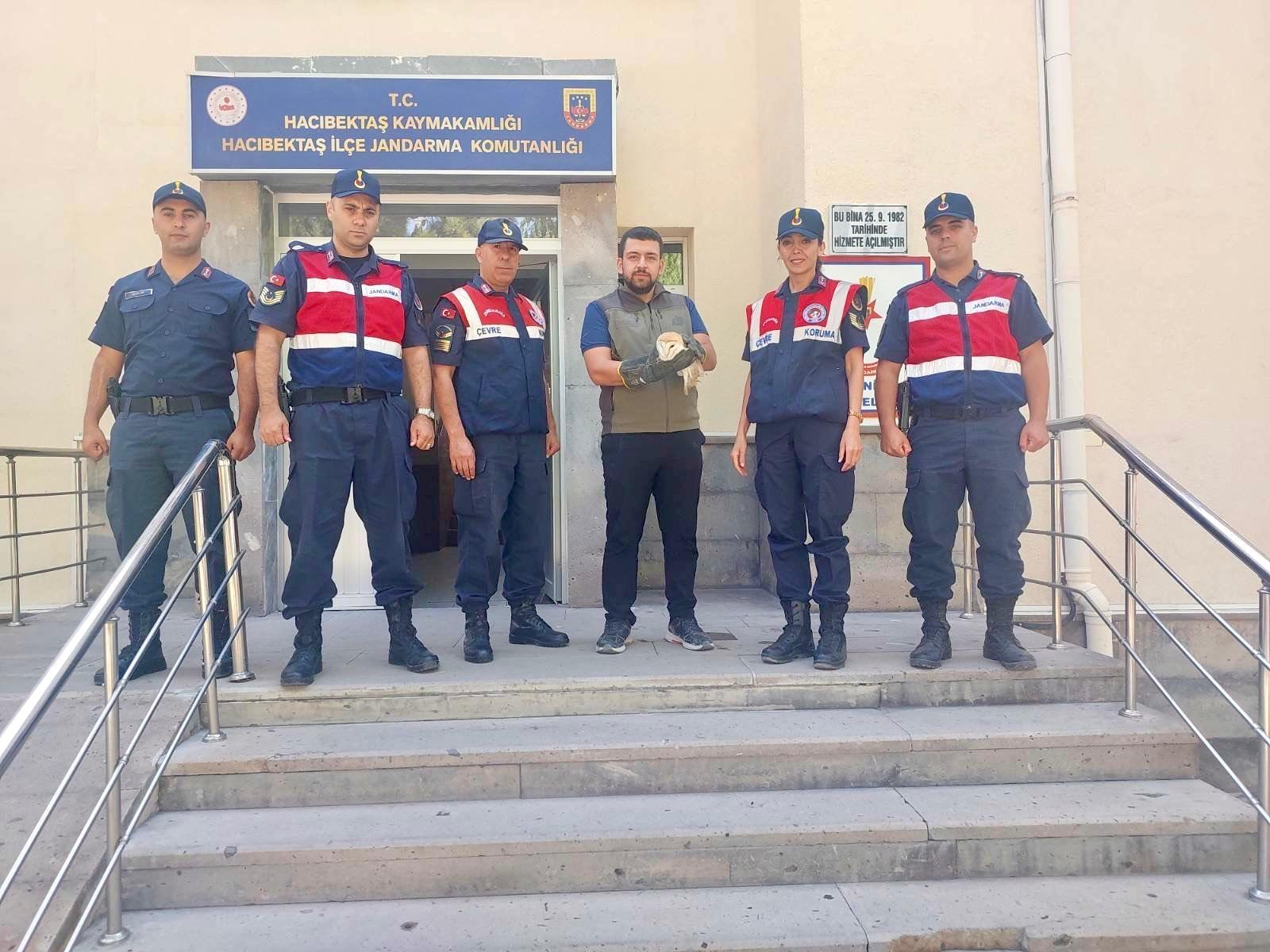 Nesli Tükenme Tehlikesi Altındaki Paçalı Baykuş Tedavi Altında