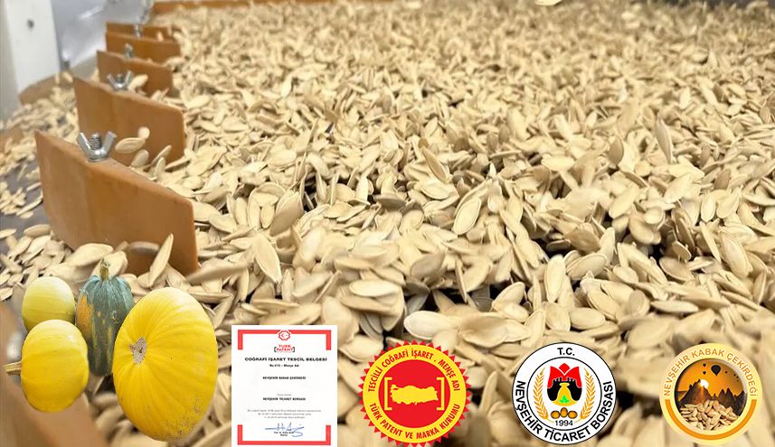 Nevşehir’in Meşhur Kabak Çekirdeği Türkiye’ye Lezzet, Ekonomiye Güç Katıyor