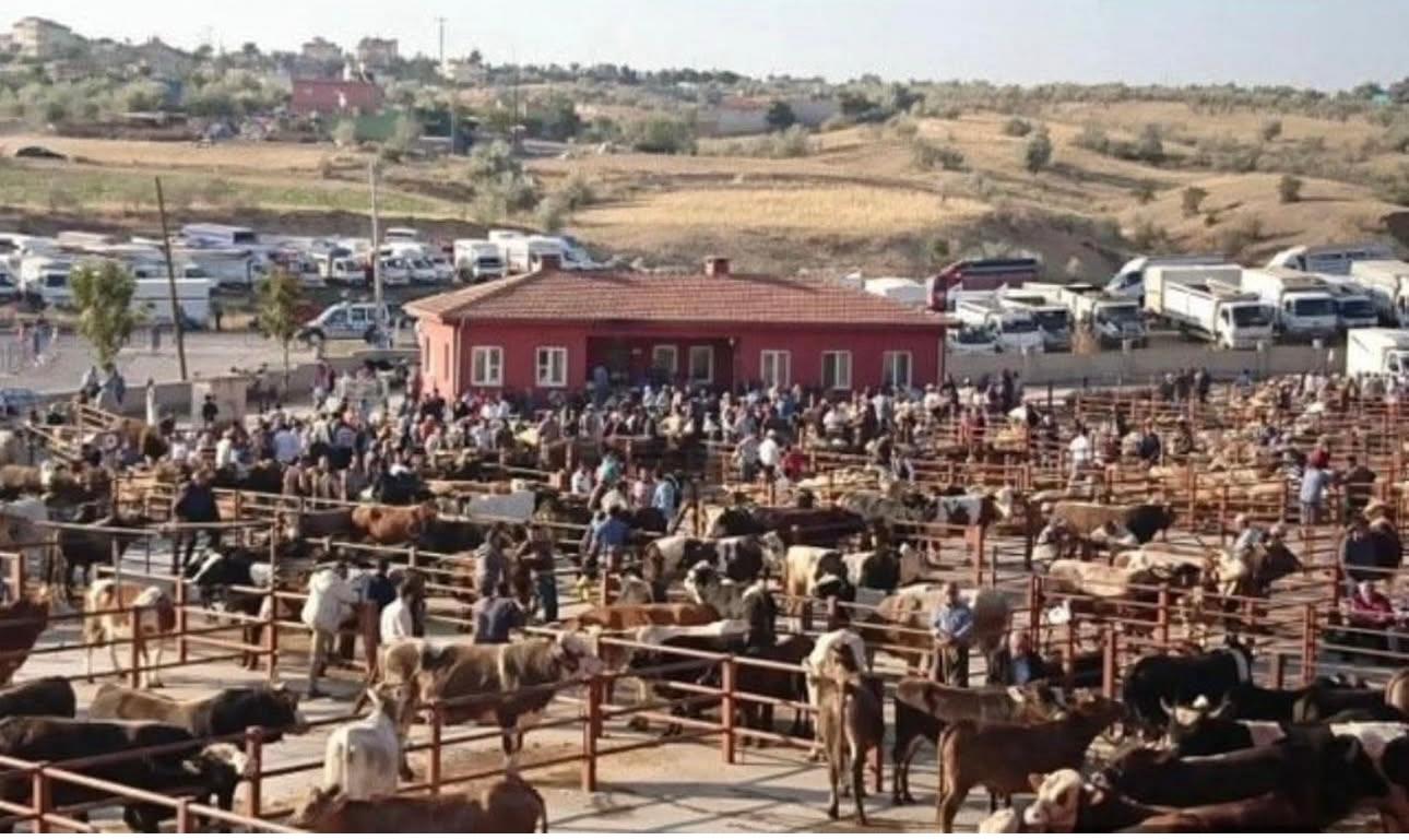 Nevşehir Ticaret Borsası Hayvan Pazarı Açıldı