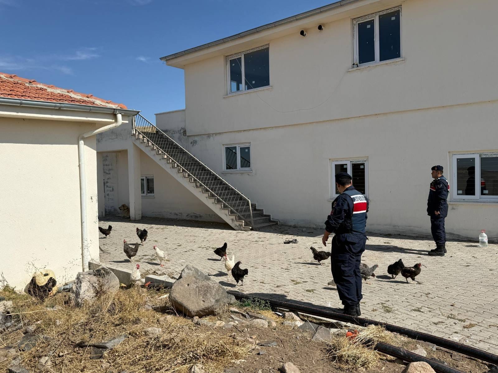 JANDARMA EKİPLERİ,  ÇALINAN 32 KÜMES HAYVANINI BULDU